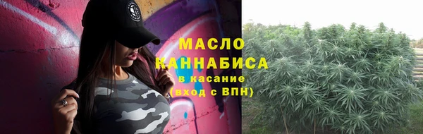 мет Алексин