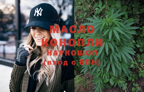 мет Алексин
