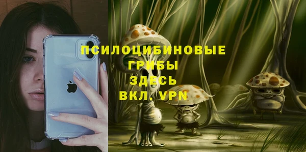 ПСИЛОЦИБИНОВЫЕ ГРИБЫ Покачи